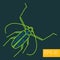 Cerambycidae insect outline