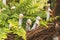 Ceramic birds garden decor