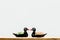 Ceramic black duck figurine on wooden table on white background