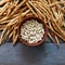 Ceramic bowl with dried beans. Many bean pods on the background of an old blue wooden table