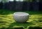 Ceramic bowl white on the green grass in the garden