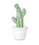 Ceramic cactus in pot on white background