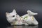 Ceramic cat, Porcelain figurine. Bird, glossy finish, gold accents, crafted, traditional attire, folk hand-painted