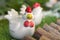 Ceramic Chicken and artificial Grass green color