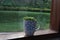 ceramic coffee cups in glass windows and succulant plants