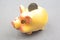 ceramic coin box in the shape of a pig. accumulation of finances and growth of monetary incomes. deposit and investment in
