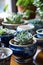 ceramic containers with succulents on the table, with generative Ai