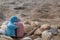 Ceramic couple dolls and shells in sand on the beach and copy space