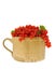 Ceramic cup full of fresh red currant berries.