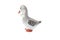 Ceramic duck figurine isolated on white background