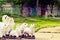 Ceramic family sheep decoration sculpture on cement floor and gr