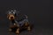 Ceramic figurine of a dog Dachshund close-up on black background
