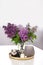 Ceramic figurine of rabbit bunny next to bouquet of lilac flowers in vase and candlestick on an table, on an isolated white backgr