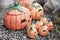 Ceramic halloween pumpkins.Garden decoration.Autumn season.