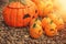 Ceramic halloween pumpkins.Garden decoration.Autumn season.