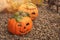 Ceramic halloween pumpkins.Garden decoration.Autumn season.