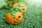 Ceramic halloween pumpkins.Garden decoration.Autumn season.