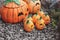 Ceramic halloween pumpkins.Garden decoration.Autumn season.