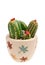 Ceramic home decoration: Cactus
