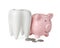 Ceramic model of tooth, piggy bank and coins on white background. Expensive treatment