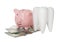 Ceramic model of tooth, piggy bank and money on white background. Expensive treatment