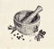 Ceramic mortar and pestle with herbs