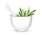 Ceramic mortar and pestle with rosemary.