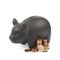 Ceramic piggy bank container isolated