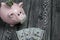 Ceramic piggy bank in pink. With a gauze bandage. In front of her are a few dollar bills. One of them sticks out of the slot.