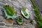 Ceramic plates in the form of green water lilies on the wall