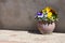 Ceramic pot with bright summer flowers pansies on the background of an old stone plastered wall. Outdoor
