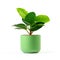 ceramic pot with a lush and vibrant plant, isolated against a pristine white background.