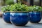 Ceramic pots, Majestic, deep, royal Blue