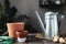 Ceramic pots on old gray wooden table, tulip bulbs, can, gloves, garden shovel