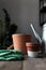 Ceramic pots on old gray wooden table, tulip bulbs, can, gloves, garden shovel