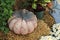 Ceramic Pumpkin on a Bale of Hay