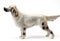 Ceramic statue english setter pedigree dog