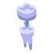 Ceramic tooth crown icon, isometric style