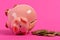 Ceramic toy pig on back with money fallen out