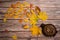 Ceramic vase, yellow maple leaves, hawthorn leaves and Aronia on wooden background.