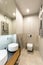 Ceramic washbasins and toilet in a modern, fancy bathroom interi