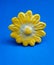 Ceramic yellow flower