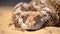 Cerastes cerastes commonly known as the Saharan Horned Viper. Generative AI