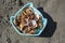 Cerastoderma edule common cockle empty seashells on sandy beach, simplicity background pattern in daylight the mold