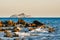 The Cerboli island near Elba and Piombino, Italy