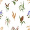 Cereal crops pattern. Seamless background with different grain plants. Repeating print with oat, barley and flax drawn