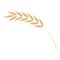 Cereal ear simple icon in flat vector illustration - ripe yellow agricultural seed of grain plant.