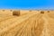 Cereal field with straw bales