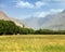 Cereal field in Wakhan valley, Hindukush mountains