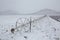 Cereal fields with irrigation wheels with snow in Nevada